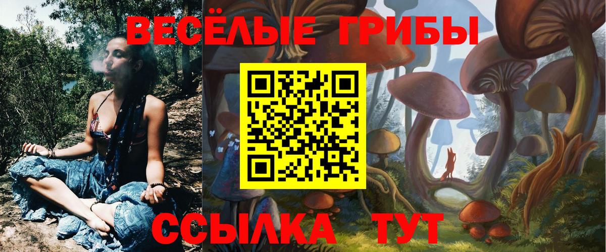 Псилоцибиновые грибы мицелий Кострома