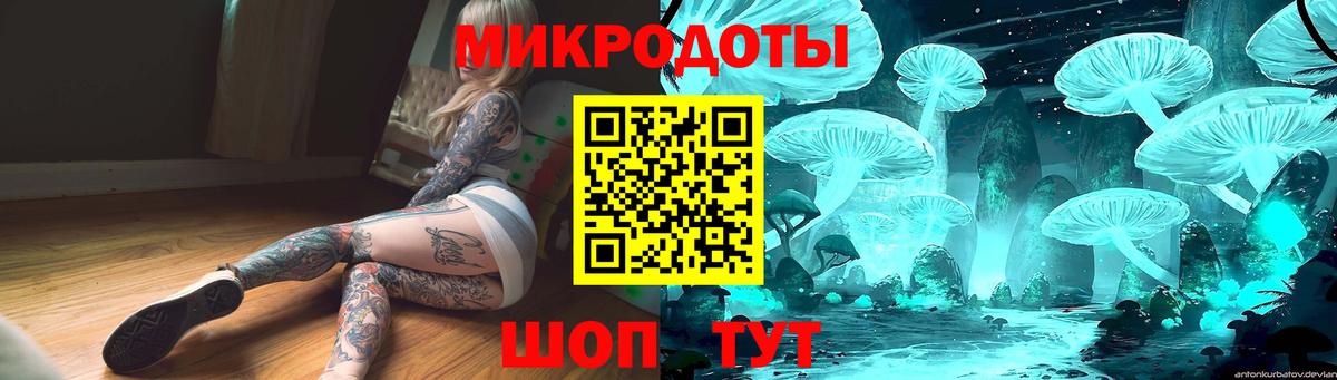 Псилоцибиновые грибы GOLDEN TEACHER  цены   Кострома  Вход с VPN  Псилоцибиновые грибы Magic Shrooms 